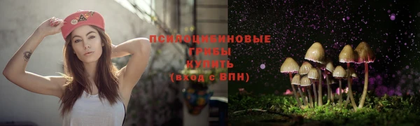 тгк Балахна